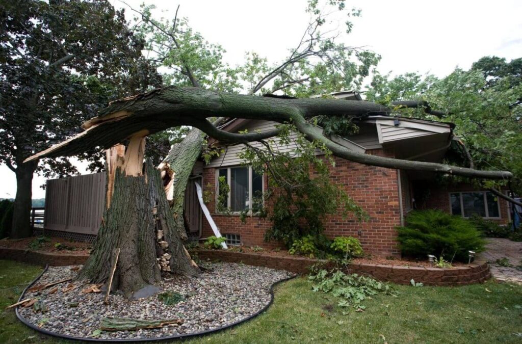 Roof Storm Damaged By Tree